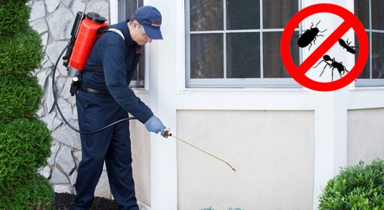 Sütçüler Böcek ve Haşere İlaçlama böcek ilaçlama ve haşere kontrolü — ilaclama-tr.com